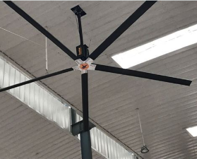 Large Ceiling Fan In Nahan
